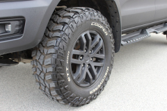 Ford Raptor schwarz Raptorlackiert