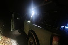 Ford Raptor 2019-