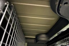 Jeep Wrangler mit Umbau und Raptor-Lackierug in Grün